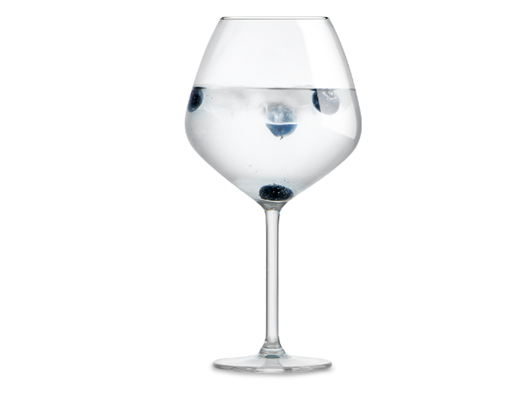 ENJOY THE MOMENT Gin Tonic 75cl - 6PCS